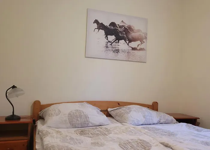 Patanka Gasthuis Praag