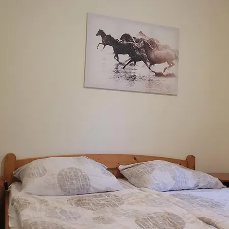 Patanka Pensión Praga
